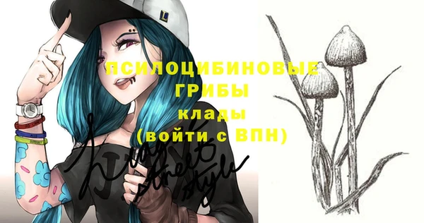 MDMA Premium VHQ Снежногорск